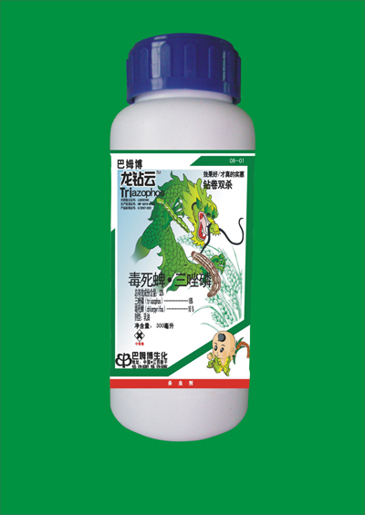 201002011058293500_1.jpg