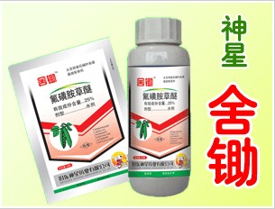 硅谷动力董事长何明远(3)