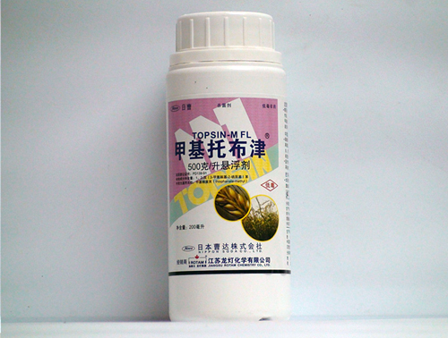 201005291536198072_1.jpg