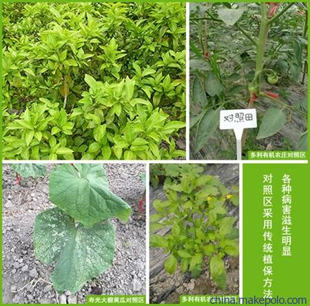 植物疫苗,超敏蛋白,蛋白肥料,蛋白农药,植物免疫蛋白,植物抗病蛋白