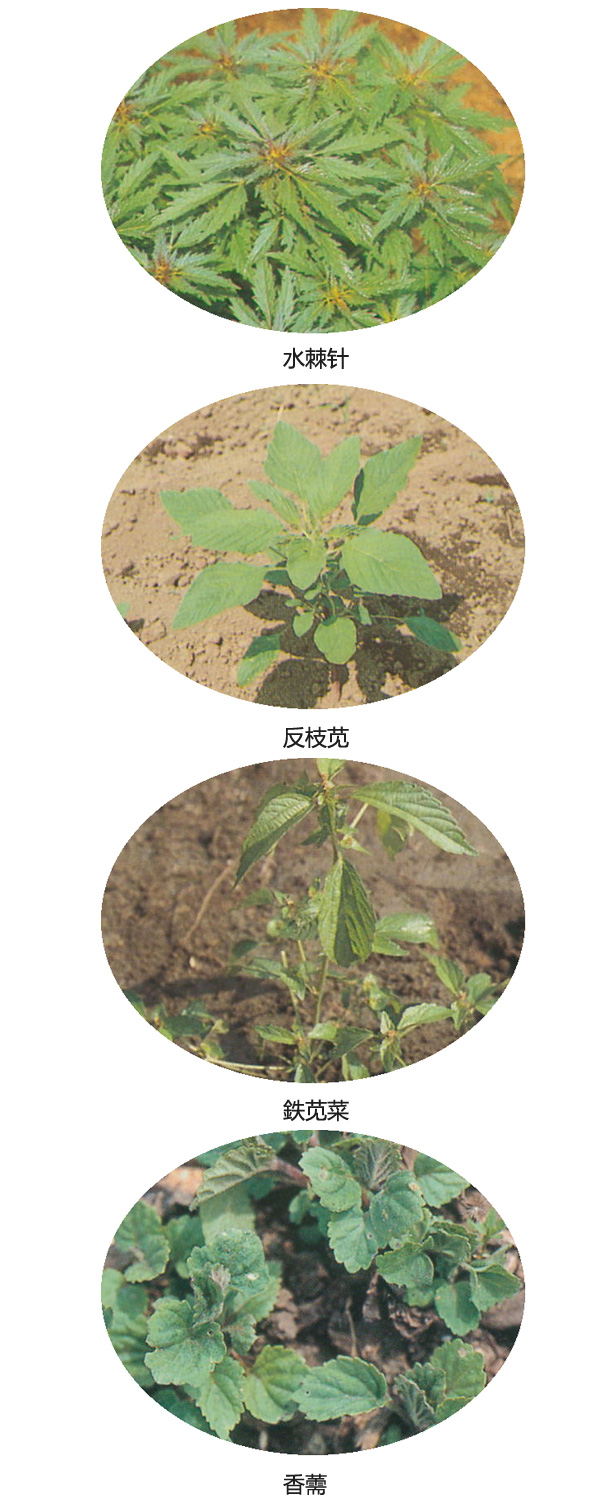 企业信息