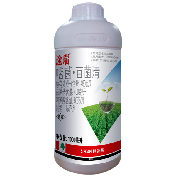 产品介绍 产品基本介绍: 通用名 成分含量 剂型 嘧菌酯&middot;百菌清